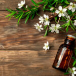 Les 23 applications pratiques de l’huile essentielle de Manuka 23-mode-emploi-huile-essentielle-manuka-reponses-bio