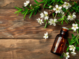 Les 23 applications pratiques de l’huile essentielle de Manuka 23-mode-emploi-huile-essentielle-manuka-reponses-bio