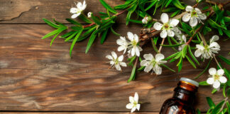 Les 23 applications pratiques de l’huile essentielle de Manuka 23-mode-emploi-huile-essentielle-manuka-reponses-bio