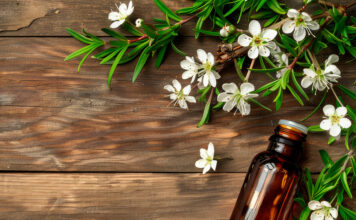 Les 23 applications pratiques de l’huile essentielle de Manuka 23-mode-emploi-huile-essentielle-manuka-reponses-bio