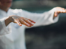 De votre harmonie avec les cinq éléments dépendent les mécanismes de votre santé Secrets-du-Qi-Gong-Georges-Charles-Reponses-Bio