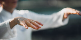 De votre harmonie avec les cinq éléments dépendent les mécanismes de votre santé Secrets-du-Qi-Gong-Georges-Charles-Reponses-Bio