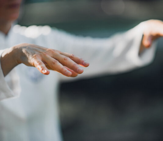 De votre harmonie avec les cinq éléments dépendent les mécanismes de votre santé Secrets-du-Qi-Gong-Georges-Charles-Reponses-Bio