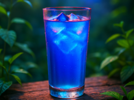 Phycocyanine : usages pratiques selon les affections – 4 ans de synthèse Phycocyanine-Synthese-Reponses-Bio