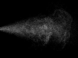 Acné, staphylocoques, candida, pied d’athlète… la solution ultime officiellement testée bambou-spray-moso3000-reponsesbio