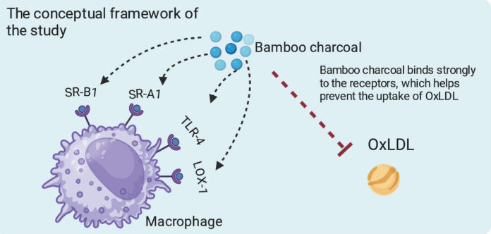 schema-charbon-cholesterol-LDL-Reponses-Bio