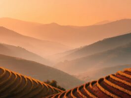 Le mouvement des agriculteurs et l’avancée rampante des insectes alimentaires agriculture-elevage-insectes-danger-reponses-bio