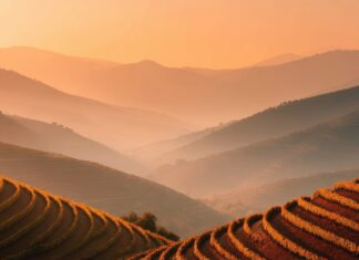 Le mouvement des agriculteurs et l’avancée rampante des insectes alimentaires agriculture-elevage-insectes-danger-reponses-bio