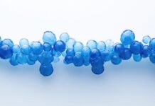 La Phycocyanine est-elle l’Élixir de longue vie ? phycocyanine-anti-age-reponses-bio