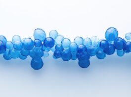 La Phycocyanine est-elle l’Élixir de longue vie ? phycocyanine-anti-age-reponses-bio