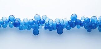 La Phycocyanine est-elle l’Élixir de longue vie ? phycocyanine-anti-age-reponses-bio