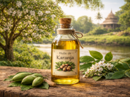 Les vertus méconnues de l’huile de Karanja Huile-karanja-vertus