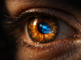 L’intelligence naturelle en danger ! Les solutions non invasives Intelligence-naturelle-reponsesbio