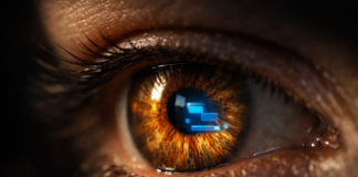 L’intelligence naturelle en danger ! Les solutions non invasives Intelligence-naturelle-reponsesbio