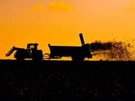 Alerte Au Cadmium En France : Les outils pour évaluer votre niveau de risque et agir