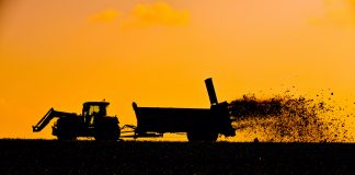 Alerte Au Cadmium En France : Les outils pour évaluer votre niveau de risque et agir