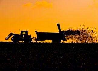 Alerte Au Cadmium En France : Les outils pour évaluer votre niveau de risque et agir