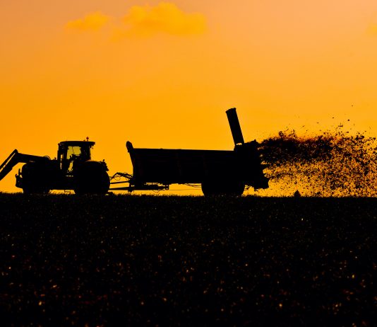 Alerte Au Cadmium En France : Les outils pour évaluer votre niveau de risque et agir