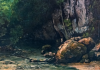 L’eau de nos ancêtres avait un secret, voyager dans le temps permet de le retrouver Le Ruisseau du Puits Noir